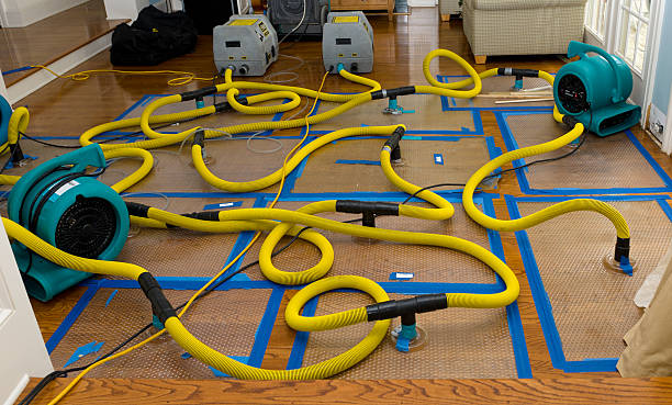 Professional Crawl Space Water Removal technician working in Queens Village, NY